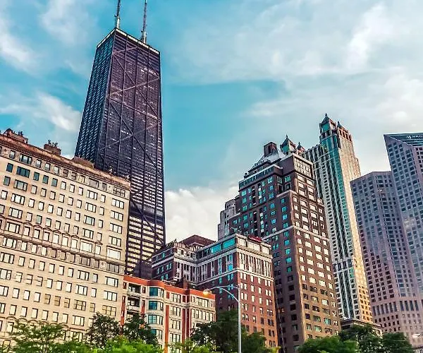 Level - Old Town Chicago